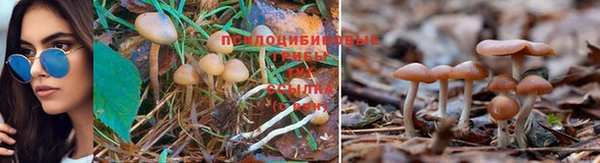 твердый Алексеевка