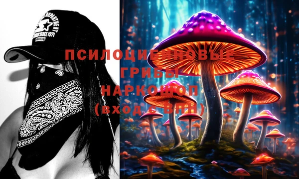 дурь Абинск