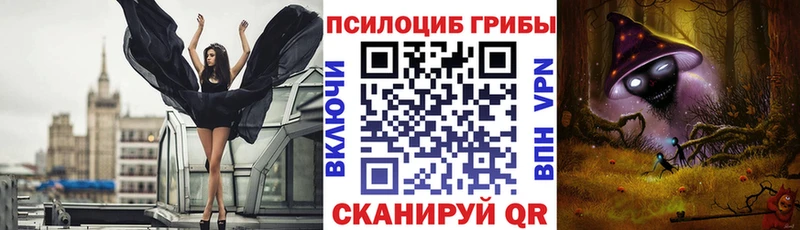 дарнет шоп Симферополь Псилоцибиновые грибы мицелий